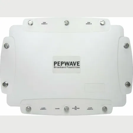 Peplink AP Pro 300M