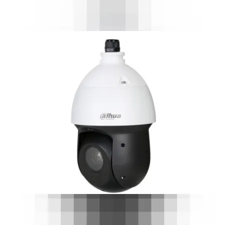 Dahua Security Dahua 2MP 25x Starlight IR PTZ Network Kamera