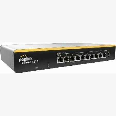 Peplink Balance 210 Router