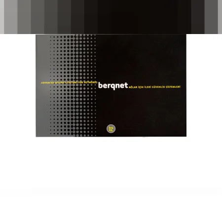 Berqnet bq25s Firewall Cihazı
