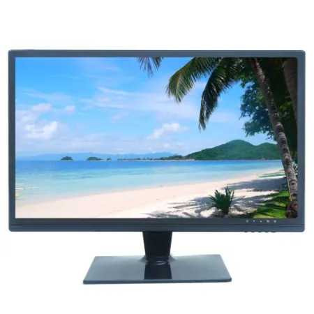 Dahua Security Dahua 18.5'' WXGA LCD Monitör