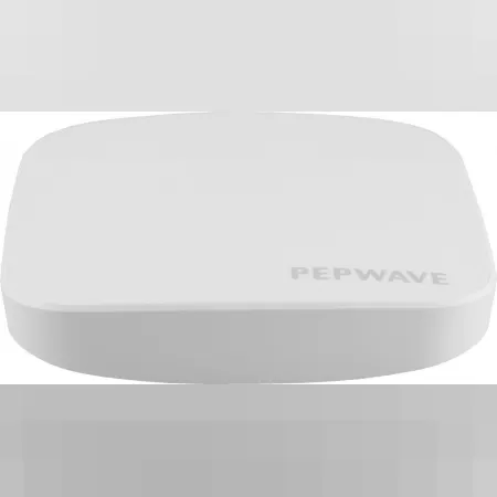 Peplink AP Pro