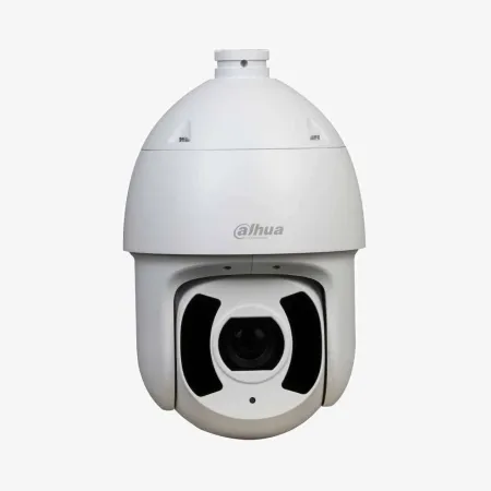 Dahua Security Dahua 2MP 30x Starlight IR PTZ Network Kamera