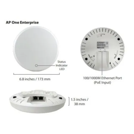 Peplink AP One (Enterprise)
