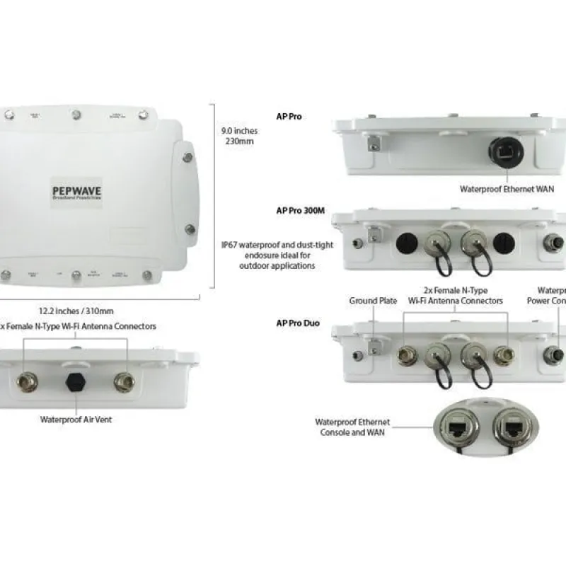 Peplink AP One Flex 300M