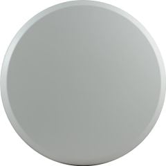Peplink AP One (Enterprise)