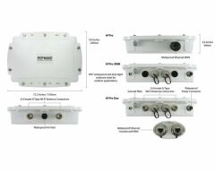 Peplink AP Pro 300M